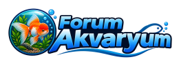 Forum Akvaryum